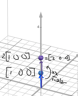 scaling a vector 